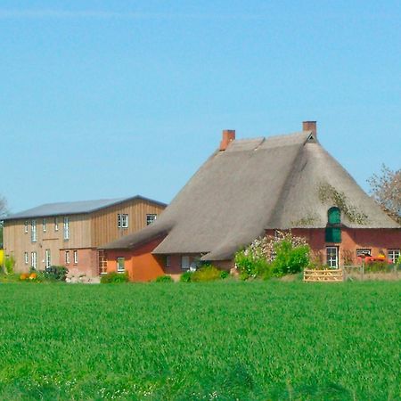 Riepsdorf"Hof Triangel - Whg 2" - Bauernhofurlaub公寓 外观 照片